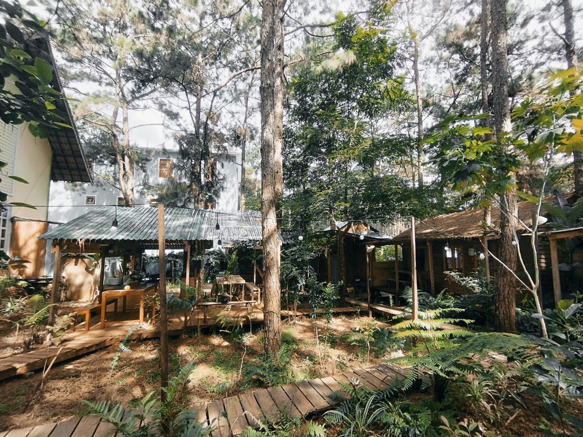 La Maison Homestay Mang Den Kon Tum Esterno foto