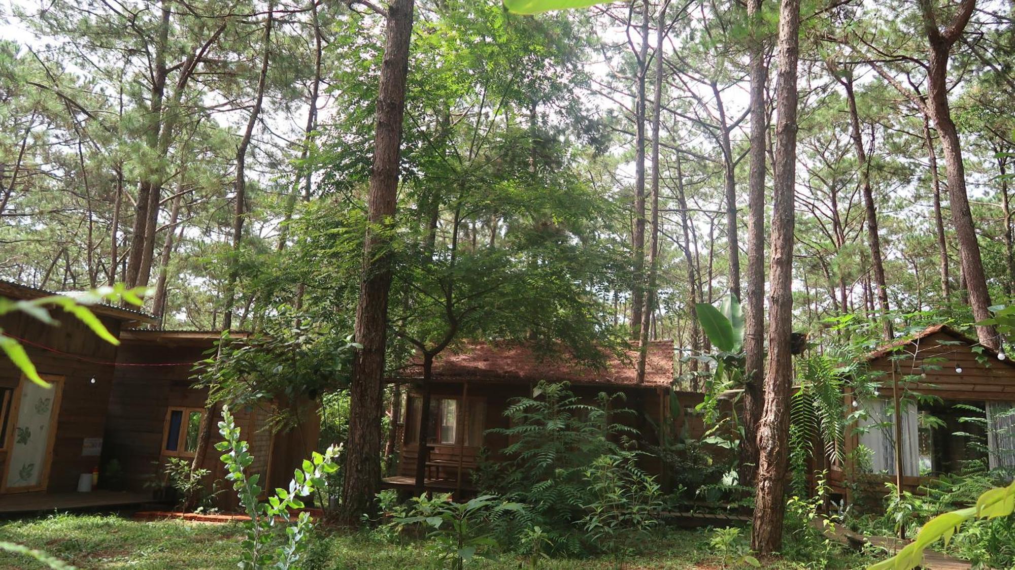 La Maison Homestay Mang Den Kon Tum Esterno foto